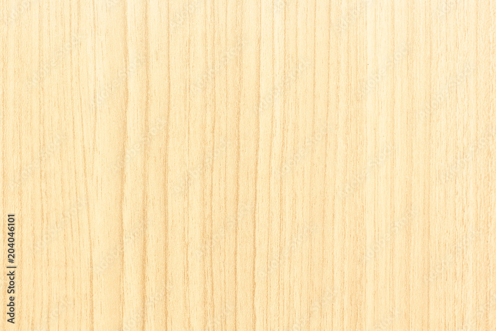 Texture of wood background closeup Texture of wood background closeup