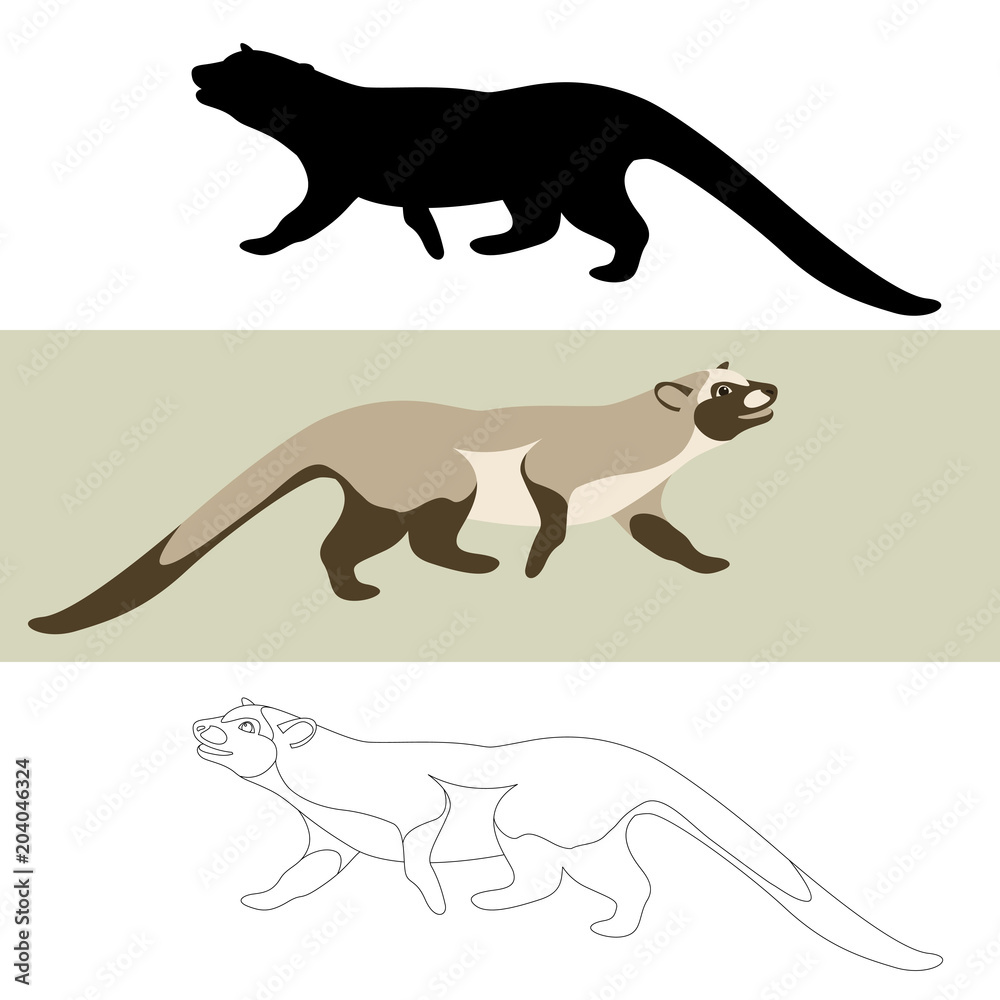 musang vector illustration flat style black silhouette musang vector illustration flat style black silhouette