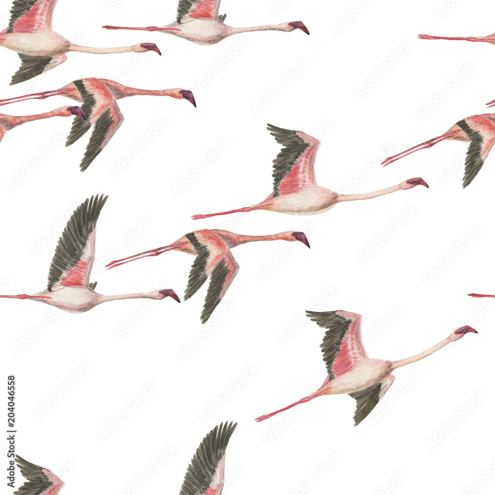 Obraz premium Watercolor painting seamless pattern with flying flamingos