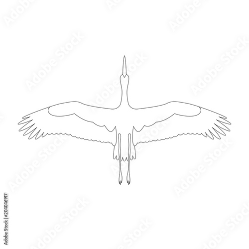 bird stork fly  vector illustration   coloring book