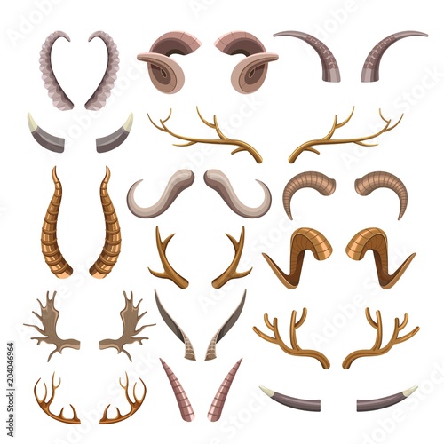 Branchy and sharp horns of wild animals set