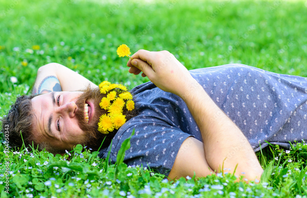 Spa and wellness concept. Hipster with bouquet of dandelions in beard relaxing. Man with beard on smiling face enjoy nature. Bearded man with dandelion flowers lay on meadow, grass background. Spa and wellness concept. Hipster with bouquet of dandelions in beard relaxing. Man with beard on smiling face enjoy nature. Bearded man with dandelion flowers lay on meadow, grass background.