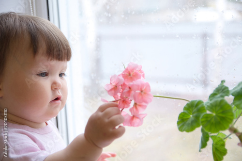 curiosity childness. curious baby girl portrait in pink clothes one year old on the window with geranium flower. inquisitive child at home at rainy day