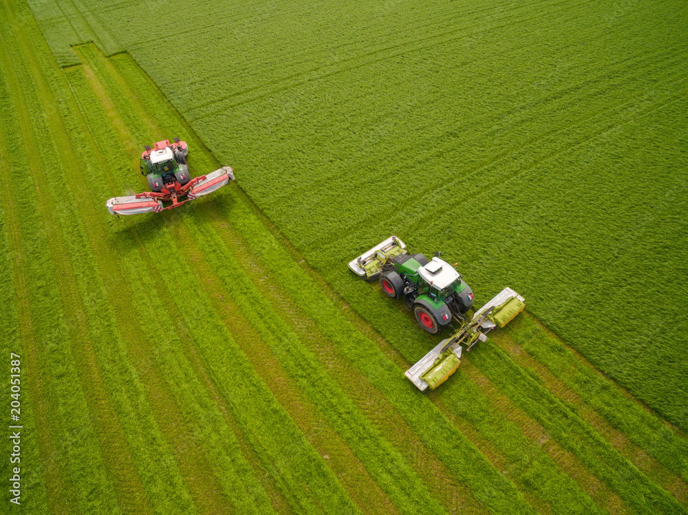 Fototapeta Aerial view of two tractor mowing a green fresh grass field, farmer in a modern tractors mowing a green fresh grass field on a sunny day