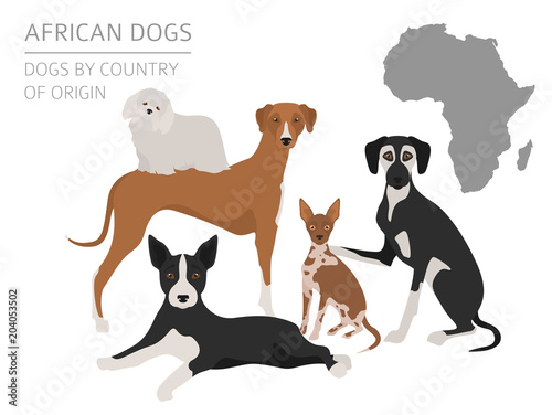 Dogs by country of origin. African dog breeds. Infographic template