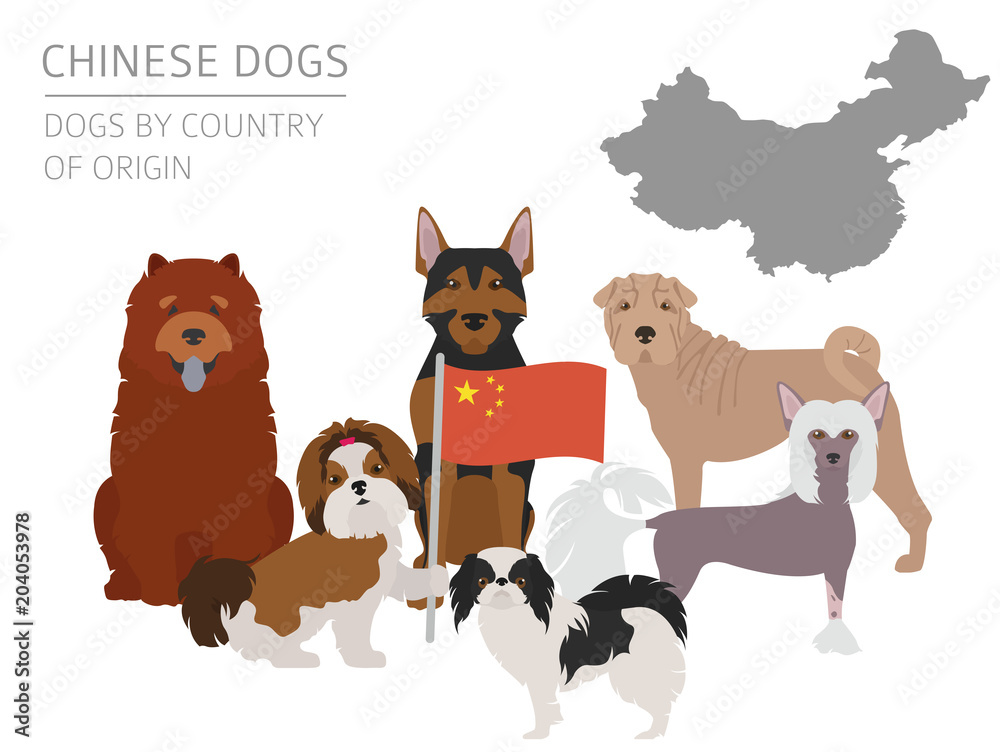 Dogs by country of origin. Chinese dog breeds. Infographic template Dogs by country of origin. Chinese dog breeds. Infographic template