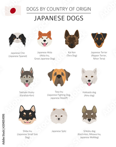 Obraz na plátně Dogs by country of origin
