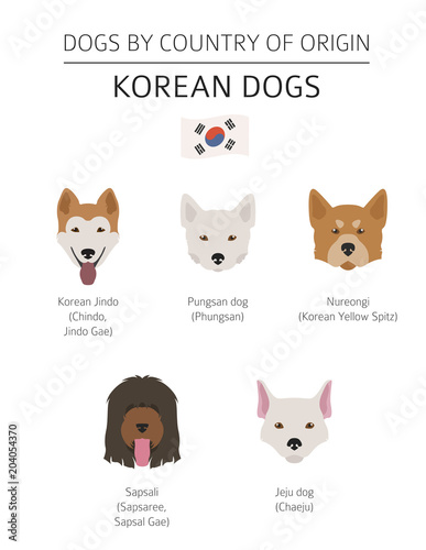 Dogs by country of origin. Korean dog breeds. Infographic template