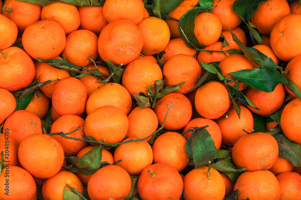 Citrus fruit background. Fresh Tangerines (mandarines, clementines, citrus oranges)  with green leaves. Wallpaper, poster.