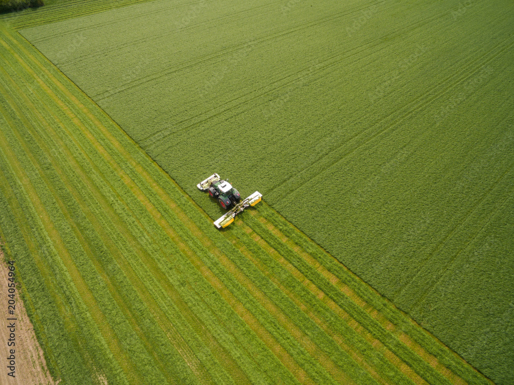 Fototapeta Aerial view of a tractor mowing a green fresh grass field, a farmer in a modern tractor mowing a green fresh grass field on a sunny day