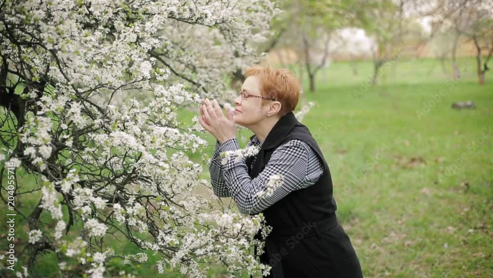 Fashionable senior woman looks at and smells cherry tree blossom. Slow motion. Fashionable senior woman looks at and smells cherry tree blossom. Slow motion.