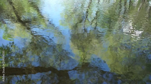 Tree reflection on river surface