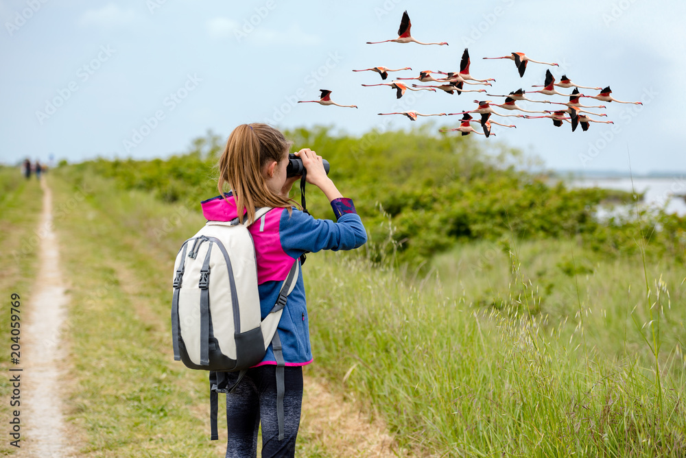 Naklejka premium Młoda dziewczyna obserwowanie ptaków