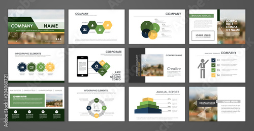 Corporate annual report