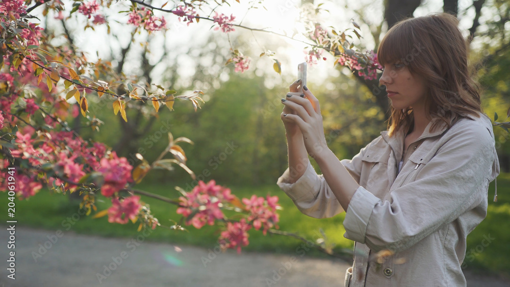 Young attractive red-haired woman taking photos of spring flowers of cherry or sakura blossoms on smartphone at sunset in park Young attractive red-haired woman taking photos of spring flowers of cherry or sakura blossoms on smartphone at sunset in park