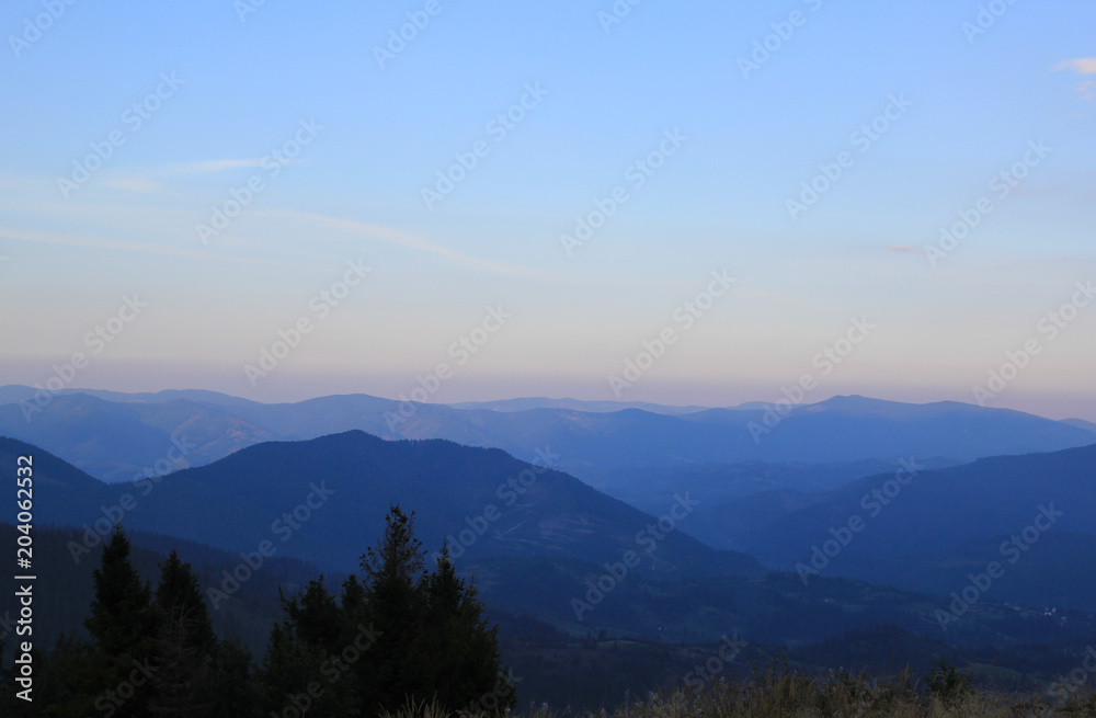 Beautiful mountains view with tall pines on background. Evening landscape in blue twighlith. Green hills at night.