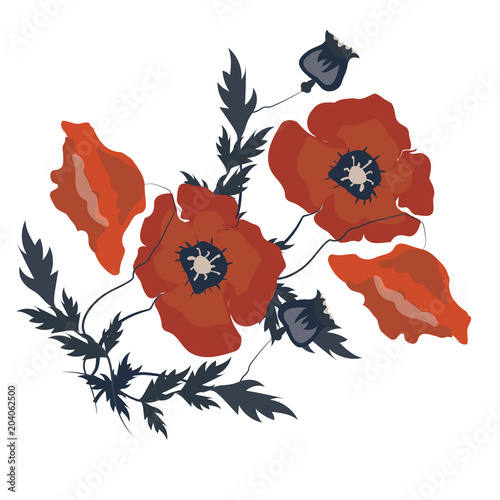 Abstract flowers, Poppies isolated, Hand drawn illustration, sketch photo