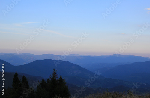 Beautiful mountains view with tall pines on background. Evening landscape in blue twighlith. Green hills at night.