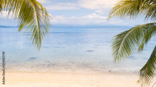 Fototapeta Naklejka Na Ścianę i Meble -  Palm tree,sea and  sand beach coast line