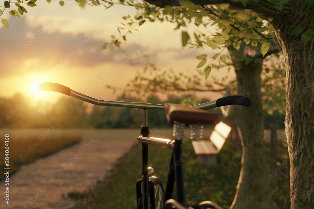 3d rendering of bike handlebar at tree in the meadow grass landscape in the evening sunlight 3d rendering of bike handlebar at tree in the meadow grass landscape in the evening sunlight