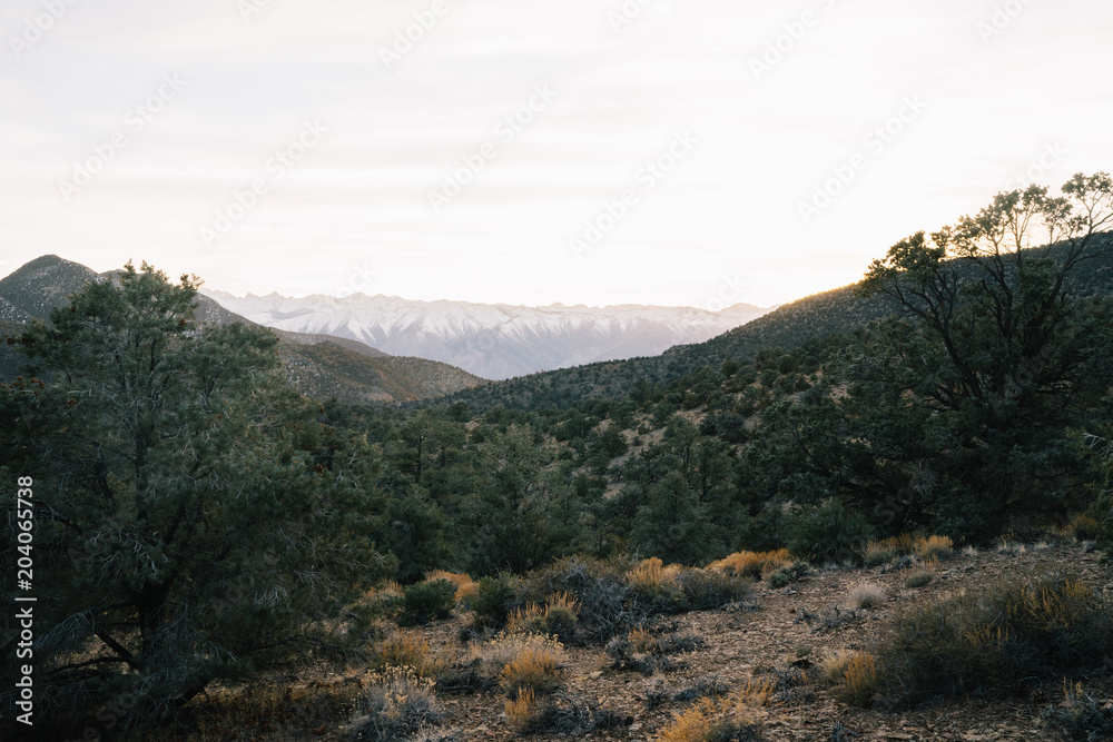 Rocky terrain high in mountains Rocky terrain high in mountains