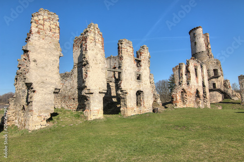 Ruins of Zviretice castle photo