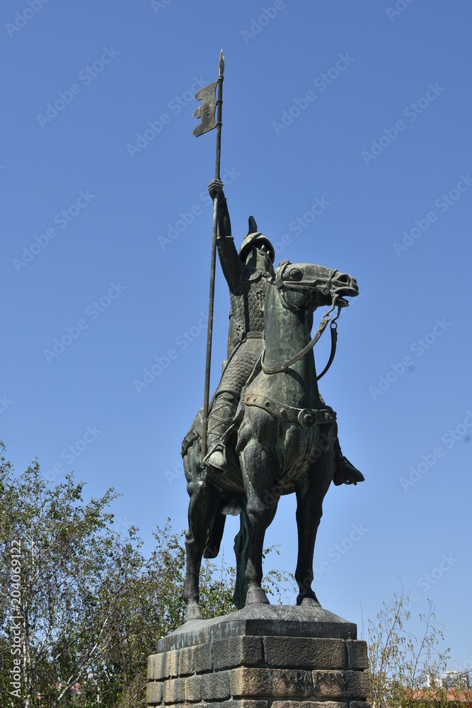 Obraz premium Horse Statue