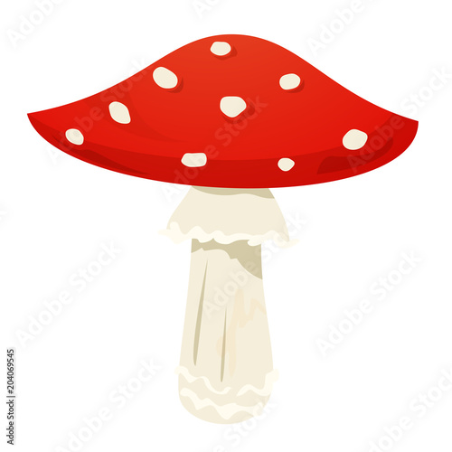 Amanita mushroom, vector illustration photo