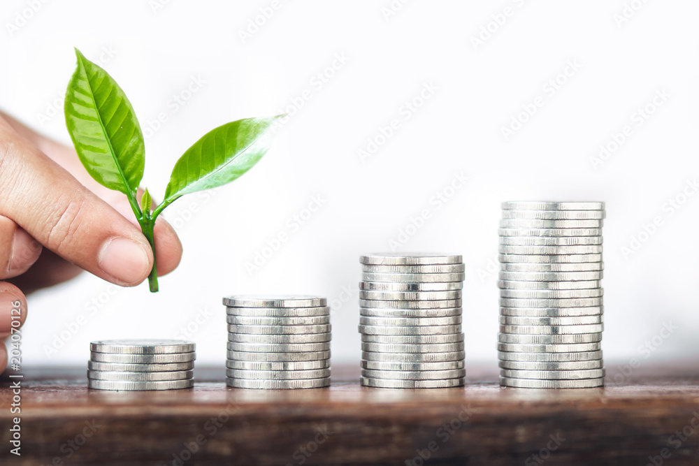 Money growth coin silver and tree young hand White background
Money growth coin silver and tree young hand White background