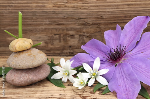 Ruhe und Entspannung - zarte Bl  ten der Clematis und des Milchsterns auf rustikalem Holz