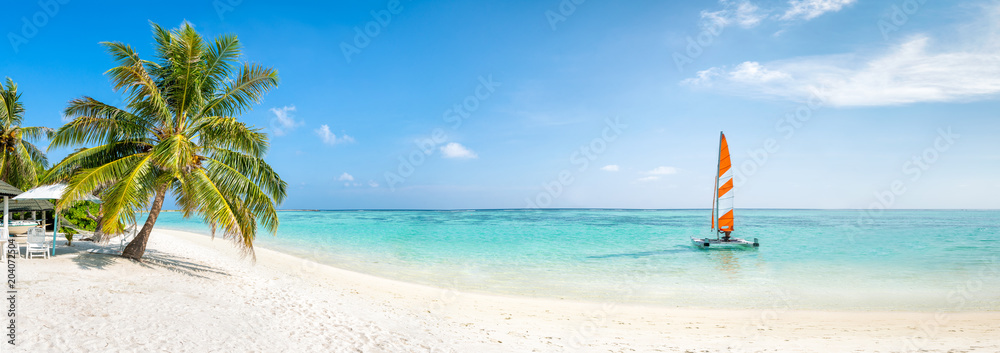 Strand Panorama im Sommer mit Palmen und türkisblauem Meer