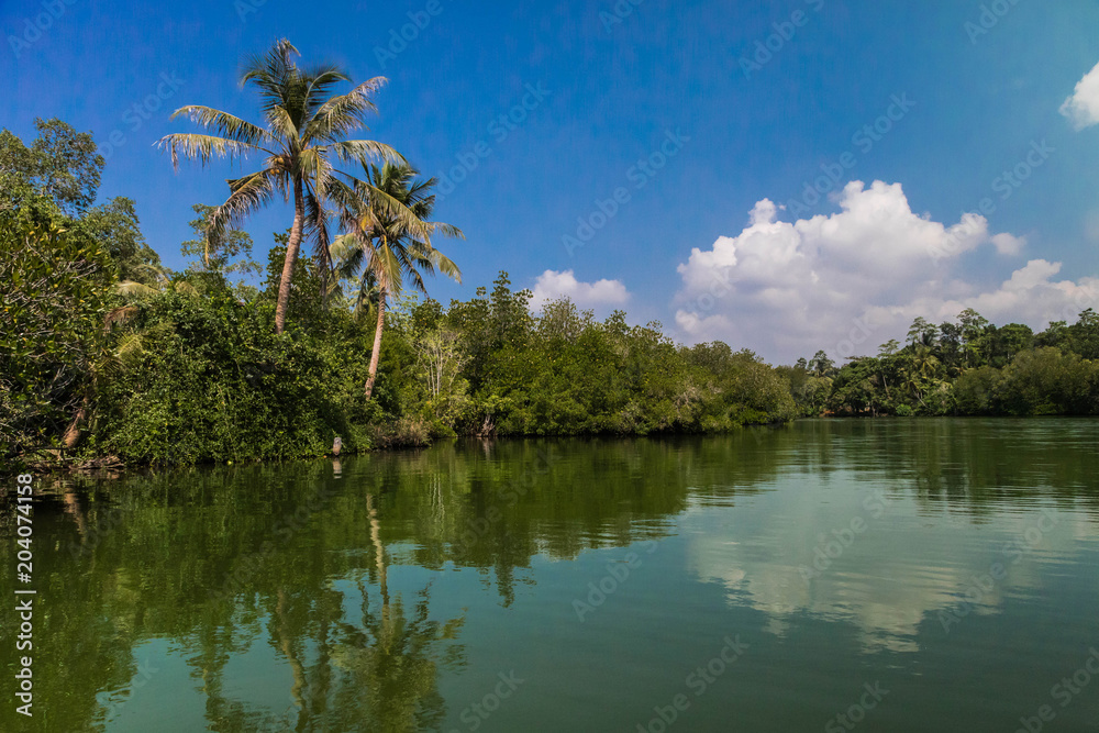 Flußlandschaft in Sri Lanka im Hintergrund blauer Himmel mit weißen Wolken und Wasserspiegelung Flußlandschaft in Sri Lanka im Hintergrund blauer Himmel mit weißen Wolken und Wasserspiegelung