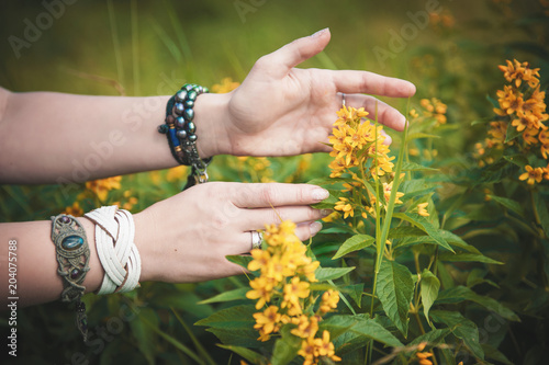 Woman hands touching wild meadow flowers