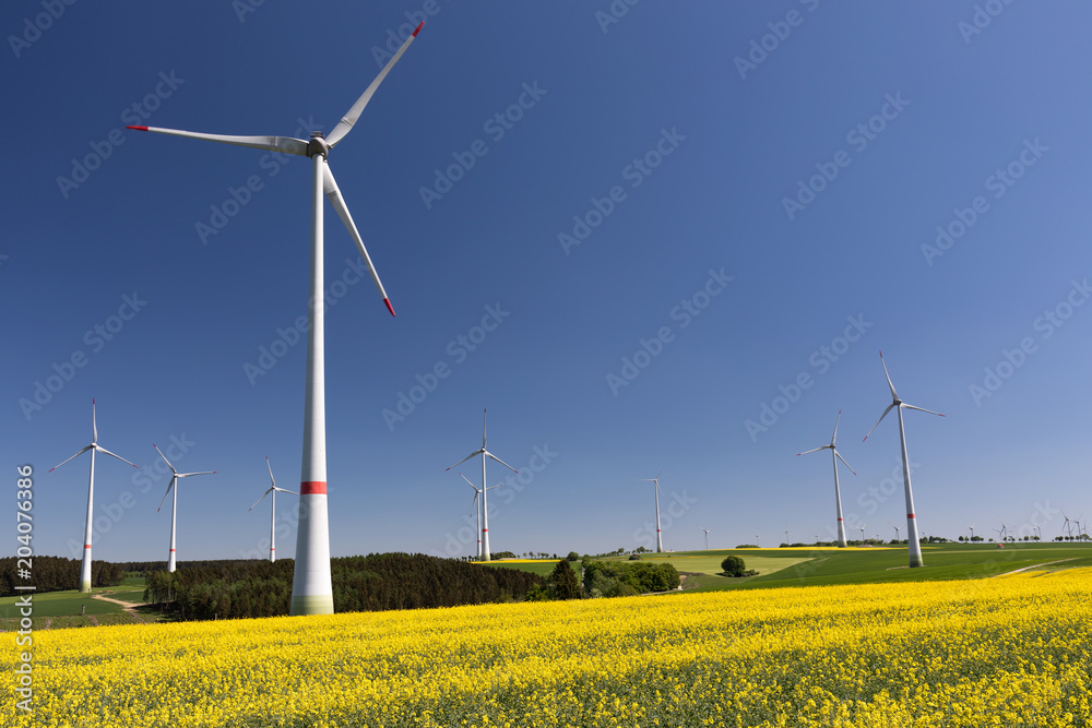 Windpark mit Rapsfeld