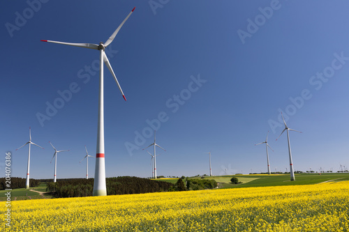 Windpark mit Rapsfeld
