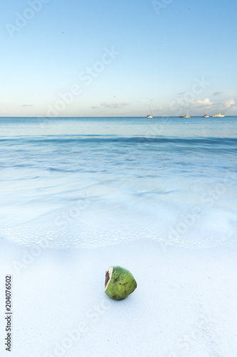 Coconut lying on white sandy beach with blue waves lapping the shore, white boats on water
