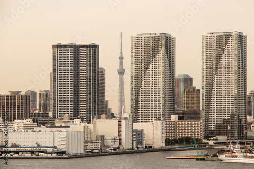 (東京都ｰ都市風景)ビルの合間のスカイツリー