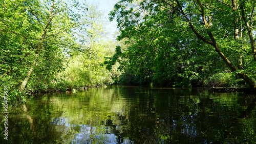 Die Bille - Fluss in Hamburg, Gewässer