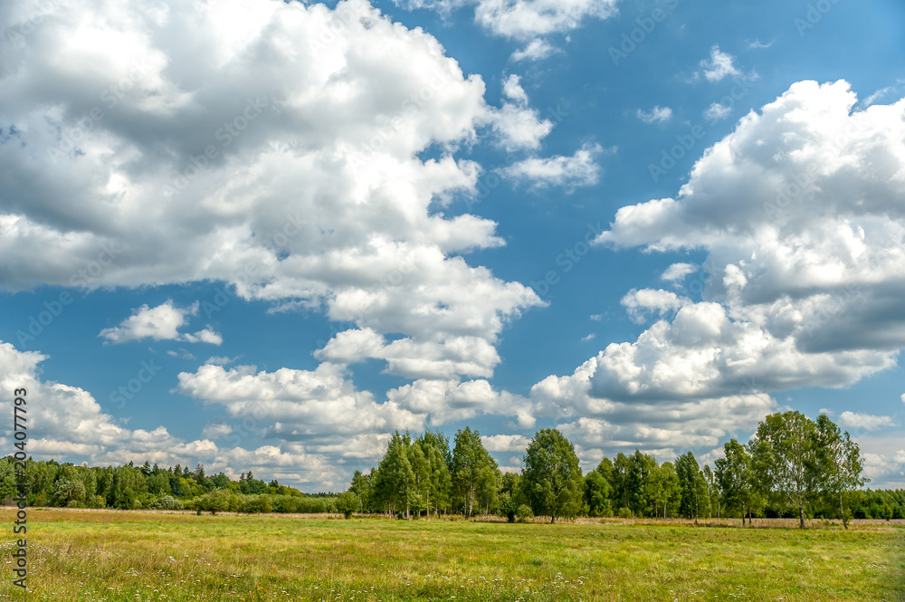 białe chmury na błękitnym niebie nad lasem