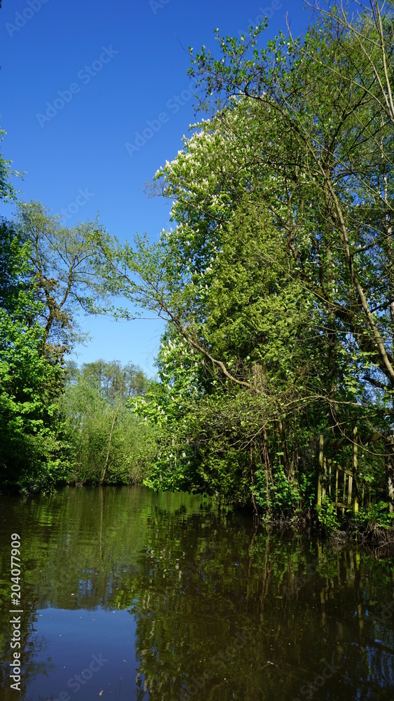 Die Bille - Fluss in Hamburg, Gewässer