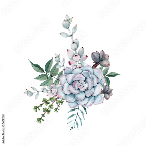 Watercolor succulent bouquet. Isolated on white background.