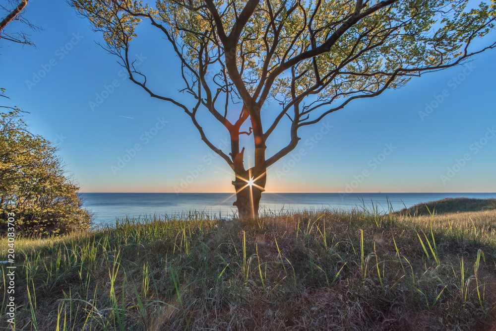 Fototapeta premium traumküste ostsee