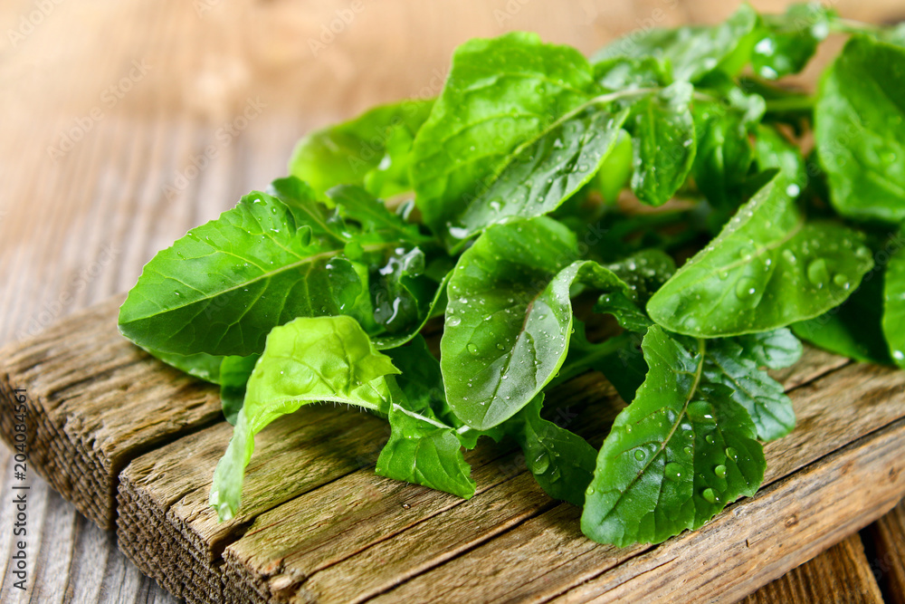Fototapeta premium Fresh green home arugula leaves, rucola. Salad.