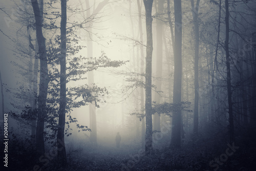 mysterious woods landscape with man in fog