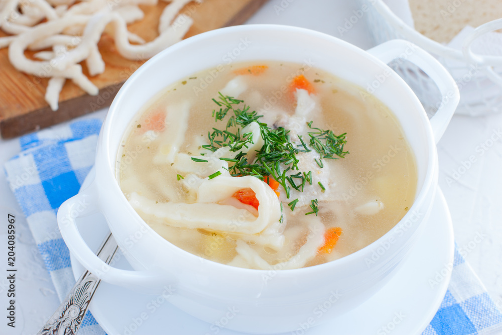 Chicken homemade noodle soup, horizontal