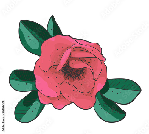 branch of blossoming dogrose. flower of eglantine. Vector wild rose. photo