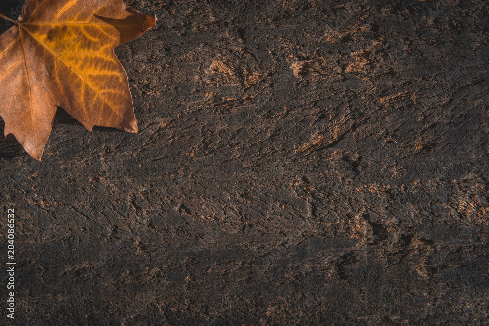 dried autumn leaves on aged wooden background with writing space dried autumn leaves on aged wooden background with writing space