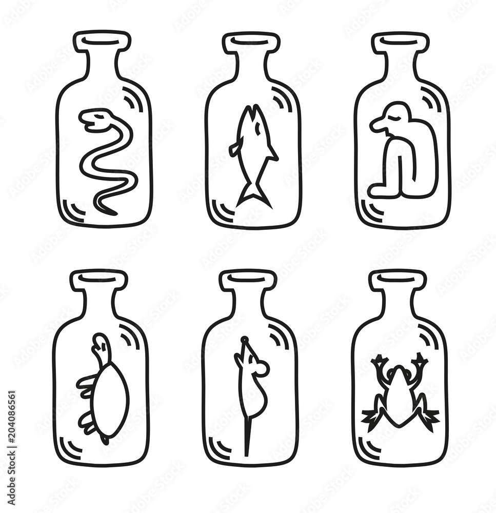 Bottle org