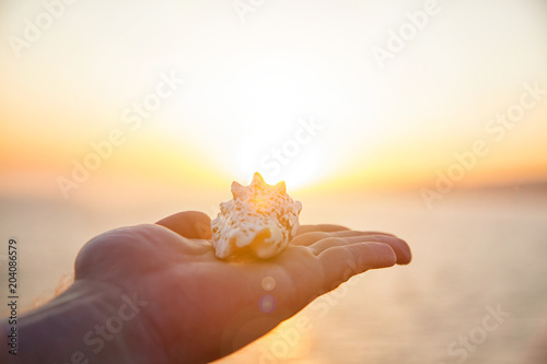 man holds a cockleshell in the hand at sunset against the sea