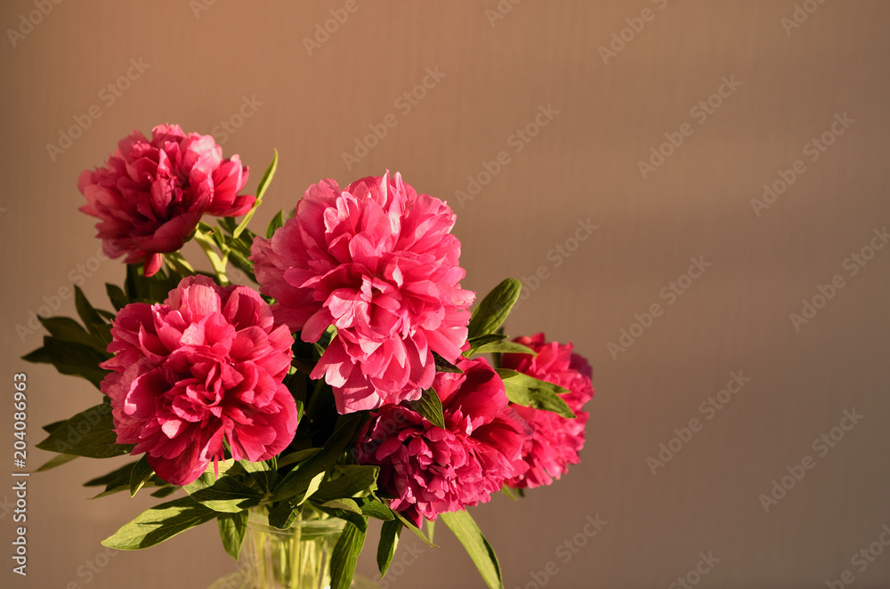 Fresh bouquet of pink peonies peony roses flowers in a vase on table in room. A gift to a mum's day. Sunny day background. Blossom wallpaper. Card, copy space.